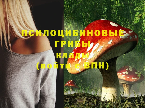 мдпв Михайловск