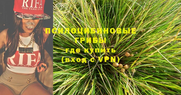 мдпв Михайловск