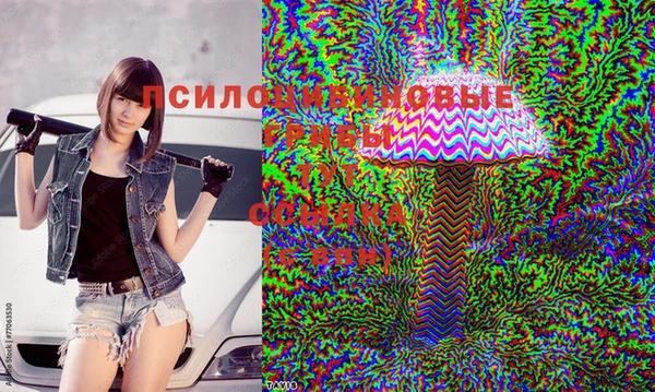 экстази Михайлов