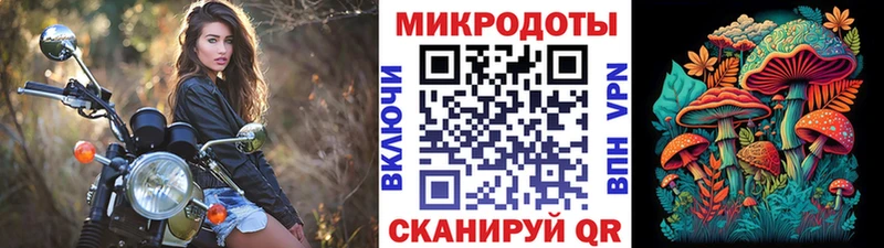 купить наркотики цена  Новомичуринск  Псилоцибиновые грибы мухоморы 